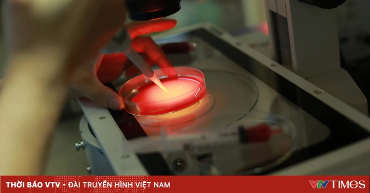 100+ Hình Ảnh Phôi Ngày 5 2026 Đẹp Nhất, Sưu Tập Đầy Đủ Cho Mọi Nhu Cầu