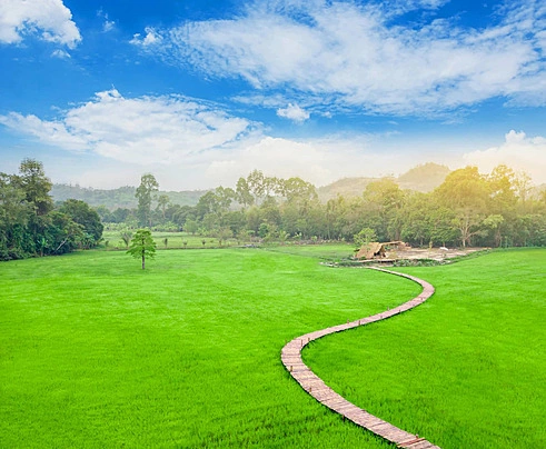 Tải Ngay 200+ Hình Ảnh Phong Cảnh Đồng Quê Việt Nam Đẹp, Thanh Bình & Chill (miễn Phí)