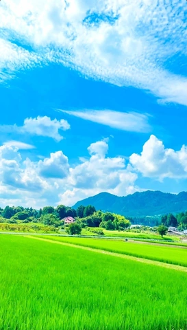 Tải Ngay 200+ Hình Ảnh Phong Cảnh Đồng Quê Việt Nam Đẹp, Thanh Bình & Chill (miễn Phí)