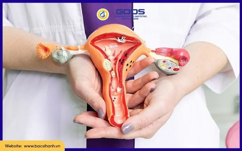 100+ Hình Ảnh Phụ Khoa Đẹp 2026 – Bộ Sưu Tập Đầy Đủ, Chất Lượng Cao, Dễ Tải Ngay 100+ Hình Ảnh Phụ Khoa Đẹp 2026 – Bộ Sưu Tập Đầy Đủ, Chất Lượng Cao, Dễ Tải Ngay