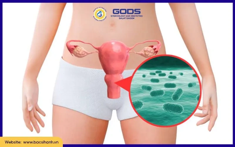 100+ Hình Ảnh Phụ Khoa Đẹp 2026 – Bộ Sưu Tập Đầy Đủ, Chất Lượng Cao, Dễ Tải Ngay 100+ Hình Ảnh Phụ Khoa Đẹp 2026 – Bộ Sưu Tập Đầy Đủ, Chất Lượng Cao, Dễ Tải Ngay