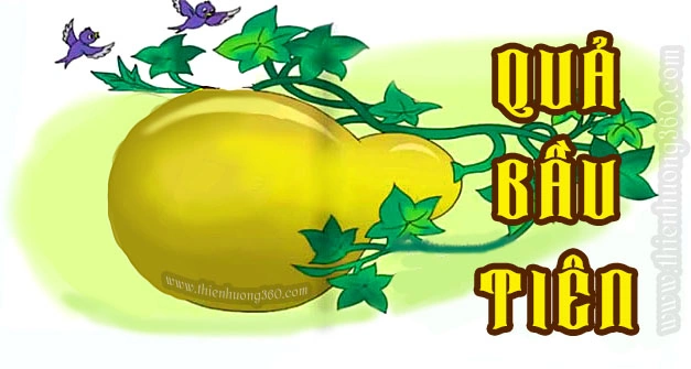 100+ Hình Ảnh Quả Bầu Đẹp Nhất 2026 – Bộ Sưu Tập Đầy Màu Sắc, Độ Phân Giải Cao, Thích Hợp Cho Mọi Nhu Cầu