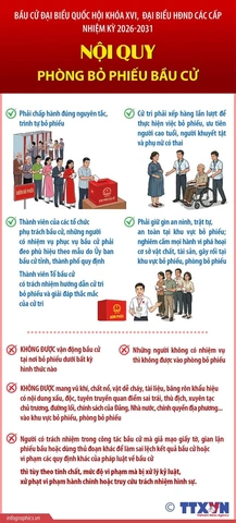 100+ Hình Ảnh Quả Bầu Đẹp Nhất 2026 – Bộ Sưu Tập Đầy Màu Sắc, Độ Phân Giải Cao, Thích Hợp Cho Mọi Nhu Cầu