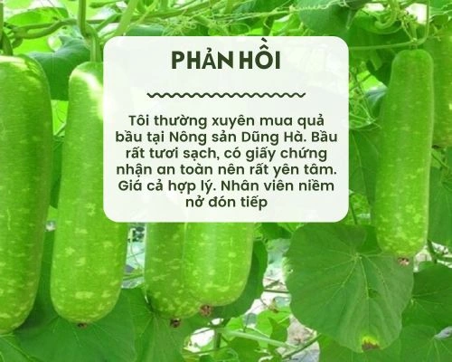 100+ Hình Ảnh Quả Bầu Đẹp Nhất 2026 – Bộ Sưu Tập Đầy Màu Sắc, Độ Phân Giải Cao, Thích Hợp Cho Mọi Nhu Cầu