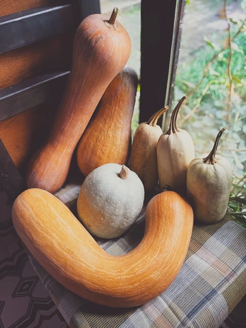 Hình Ảnh Quả Bầu Và Quả Bí: Phân Biệt Qua Đặc Điểm, Ý Nghĩa Phong Thủy Và Lợi Ích Sức Khỏe Hình Ảnh Quả Bầu Và Quả Bí: Phân Biệt Qua Đặc Điểm, Ý Nghĩa Phong Thủy Và Lợi Ích Sức Khỏe