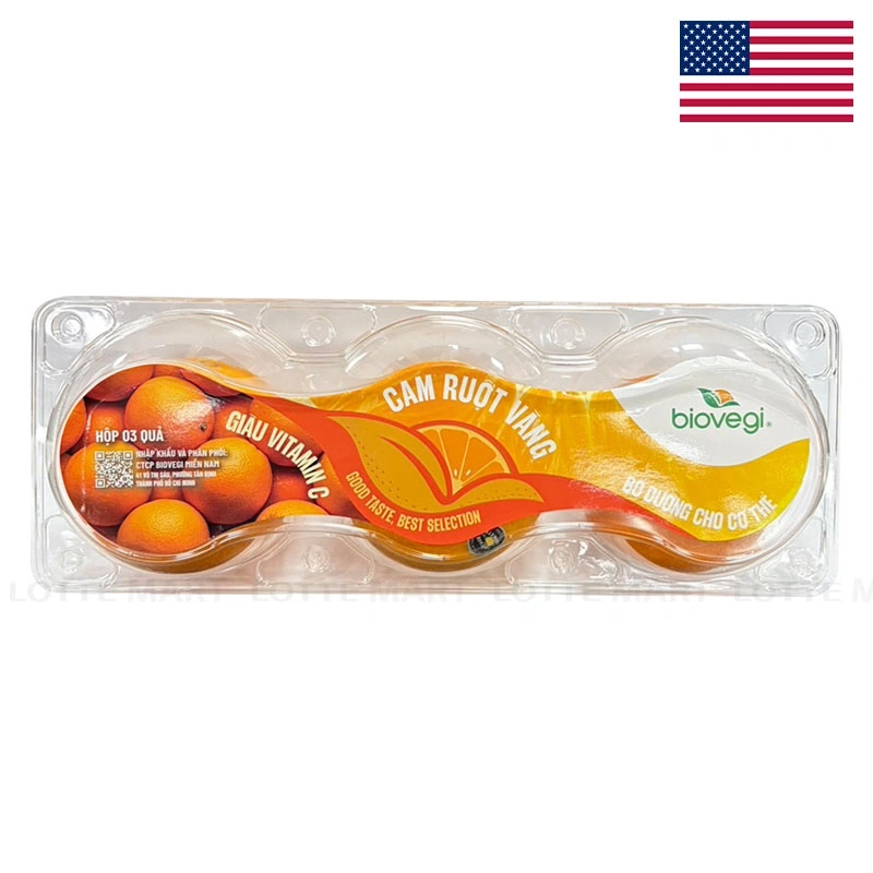 100+ Hình Ảnh Quýt Đường 4k Đẹp Nhất 2026, Siêu Sắc Nét Cho Nhu Cầu 100+ Hình Ảnh Quýt Đường 4k Đẹp Nhất 2026, Siêu Sắc Nét Cho Nhu Cầu