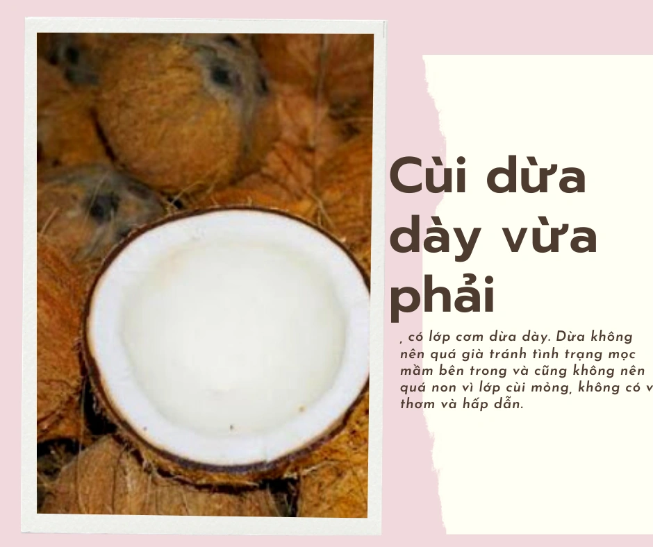 100+ Hình Ảnh Rượu Dừa 4k Đẹp Nhất 2026, Bộ Sưu Tập Siêu Đỉnh Cho Wallpaper & Avatar 100+ Hình Ảnh Rượu Dừa 4k Đẹp Nhất 2026, Bộ Sưu Tập Siêu Đỉnh Cho Wallpaper & Avatar