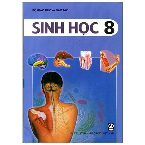 Tải Trọn Bộ Hình Ảnh Sách Sinh Học 8 (chương Trình Cũ & Mới) Cho Giáo Viên, Học Sinh