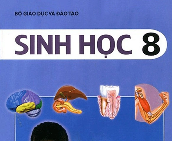Tải Trọn Bộ Hình Ảnh Sách Sinh Học 8 (chương Trình Cũ & Mới) Cho Giáo Viên, Học Sinh