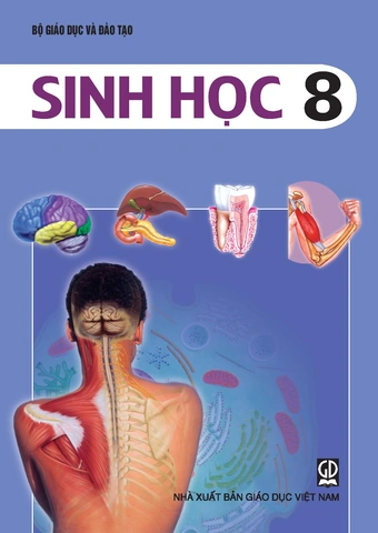 Tải Trọn Bộ Hình Ảnh Sách Sinh Học 8 (chương Trình Cũ & Mới) Cho Giáo Viên, Học Sinh