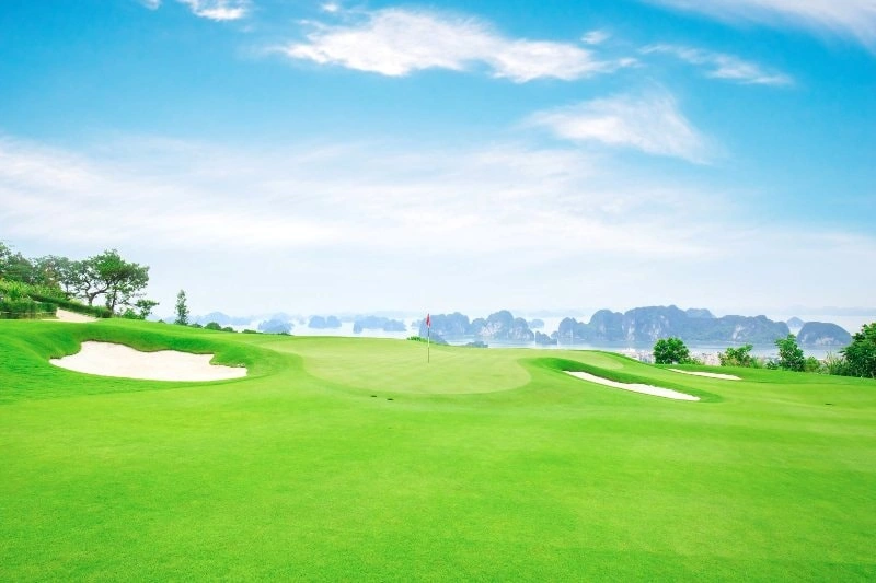 100+ Hình Ảnh Sân Golf 4k Đẹp Nhất 2026 – Bạn Đã Xem Chưa? 100+ Hình Ảnh Sân Golf 4k Đẹp Nhất 2026 – Bạn Đã Xem Chưa?