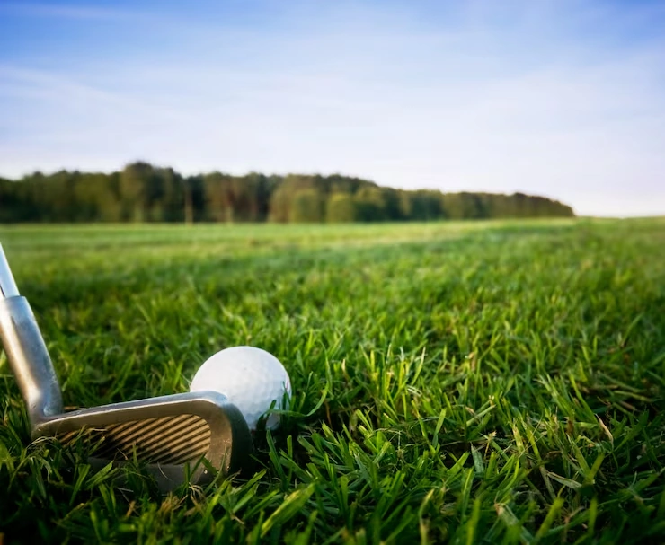 100+ Hình Ảnh Sân Golf 4k Đẹp Nhất 2026 – Bạn Đã Xem Chưa? 100+ Hình Ảnh Sân Golf 4k Đẹp Nhất 2026 – Bạn Đã Xem Chưa?