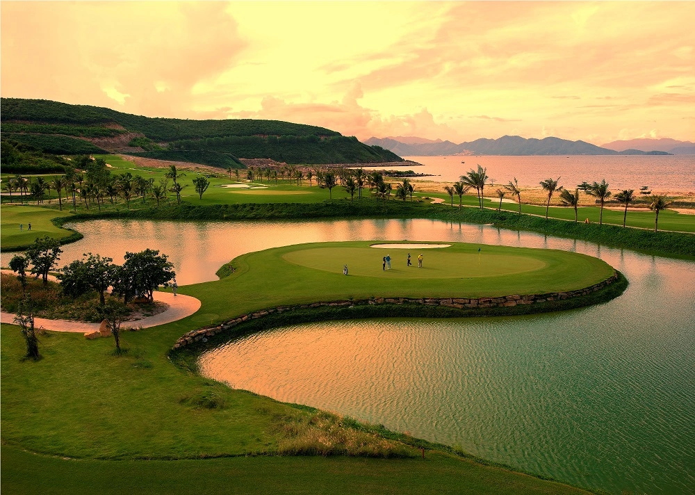 100+ Hình Ảnh Sân Golf 4k Đẹp Nhất 2026 – Bạn Đã Xem Chưa? 100+ Hình Ảnh Sân Golf 4k Đẹp Nhất 2026 – Bạn Đã Xem Chưa?