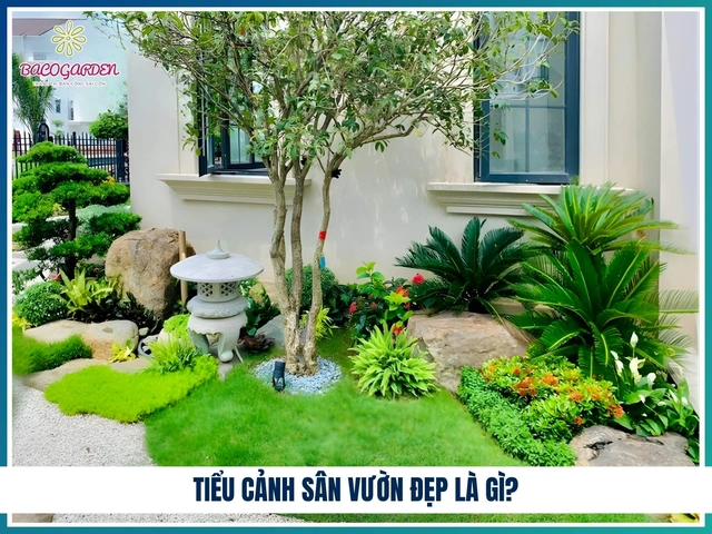 99+ Hình Ảnh Sân Vườn Tiểu Cảnh Đẹp, Độc Đáo: Tổng Hợp Ý Tưởng Thiết Kế Cho Mọi Không Gian 99+ Hình Ảnh Sân Vườn Tiểu Cảnh Đẹp, Độc Đáo: Tổng Hợp Ý Tưởng Thiết Kế Cho Mọi Không Gian