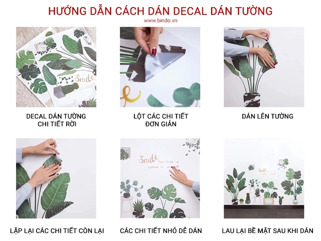 100+ Hình Ảnh Sao Đạ Quang 2026 Đẹp Nhất, 100+ Bức Ảnh Sao Đạ Quang Hd Độc Đáo