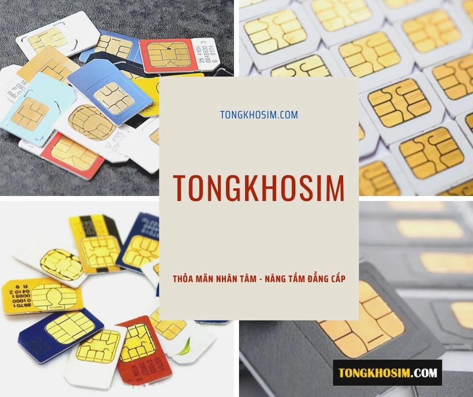 100+ Hình Ảnh Sim Vietnamobile 2026 - Bộ Sưu Tập Đẹp Nhất, Độ Phân Giải Cao, Sẵn Sàng Dùng Ngay? 100+ Hình Ảnh Sim Vietnamobile 2026 - Bộ Sưu Tập Đẹp Nhất, Độ Phân Giải Cao, Sẵn Sàng Dùng Ngay?