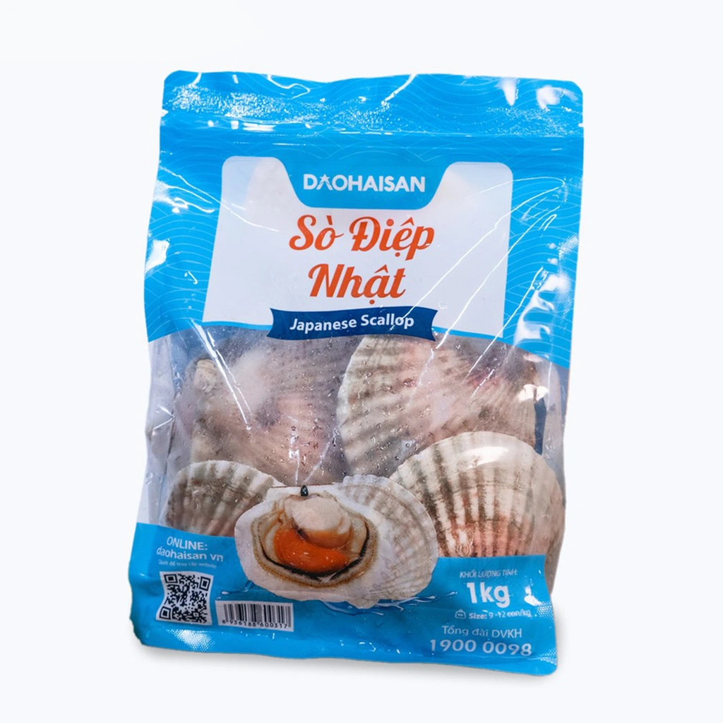 100+ Hình Ảnh Sò Điệp Đẹp Nhất 2026 - Bộ Sưu Tập Đầy Màu Sắc & Độ Phân Giải Cao