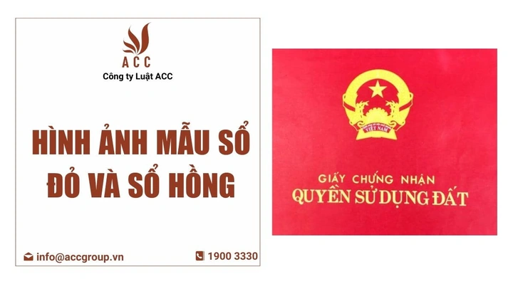 Hình Ảnh Sổ Đỏ Sổ Hồng Mới 2026: Cách Phân Biệt & Đọc Thông Tin Chính Xác Hình Ảnh Sổ Đỏ Sổ Hồng Mới 2026: Cách Phân Biệt & Đọc Thông Tin Chính Xác