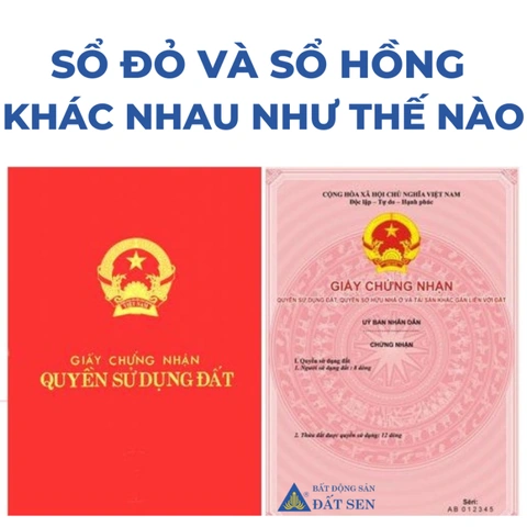 Hình Ảnh Sổ Đỏ Sổ Hồng Mới 2026: Cách Phân Biệt & Đọc Thông Tin Chính Xác Hình Ảnh Sổ Đỏ Sổ Hồng Mới 2026: Cách Phân Biệt & Đọc Thông Tin Chính Xác