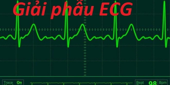 100+ Hình Ảnh Soi Gương Ecg 2026 - Bộ Sưu Tập Đầy Đủ, Đẹp Nhất? 100+ Hình Ảnh Soi Gương Ecg 2026 - Bộ Sưu Tập Đầy Đủ, Đẹp Nhất?