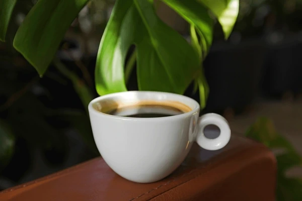 100+ Hình Ảnh Tách Cafe Đẹp Nhất, 100+ Bộ Sưu Tập Đầy Đủ Cho Bạn? 100+ Hình Ảnh Tách Cafe Đẹp Nhất, 100+ Bộ Sưu Tập Đầy Đủ Cho Bạn?