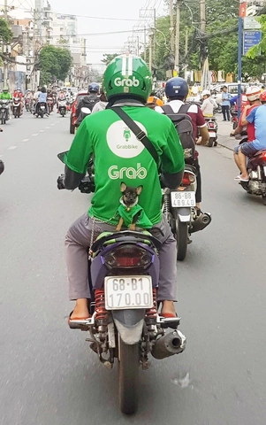 100+ Hình Ảnh Tài Xế Grabbike 2026 - Bộ Sưu Tập Đẹp Nhất, Tải Miễn Phí? 100+ Hình Ảnh Tài Xế Grabbike 2026 - Bộ Sưu Tập Đẹp Nhất, Tải Miễn Phí?