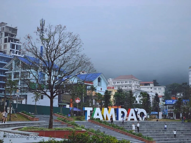 Chiêm Ngưỡng 99+ Hình Ảnh Tam Đảo Vĩnh Phúc Đẹp Nhất - Bộ Sưu Tập Cho Dân Mê Du Lịch Chiêm Ngưỡng 99+ Hình Ảnh Tam Đảo Vĩnh Phúc Đẹp Nhất - Bộ Sưu Tập Cho Dân Mê Du Lịch