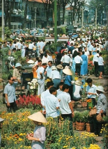 100+ Hình Ảnh Tết Quê Xưa 2026 - Bộ Sưu Tập Đầy Đủ, Đẹp Nhất, Bạn Đã Xem Chưa?