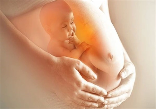 Khám Phá Hình Ảnh Thai Nhi 23 Tuần: Sự Phát Triển, Chỉ Số Siêu Âm & Lưu Ý Cho Mẹ Bầu Khám Phá Hình Ảnh Thai Nhi 23 Tuần: Sự Phát Triển, Chỉ Số Siêu Âm & Lưu Ý Cho Mẹ Bầu