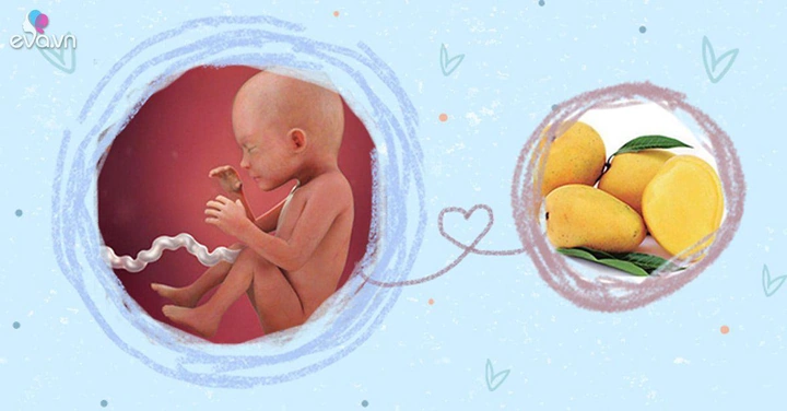 Khám Phá Hình Ảnh Thai Nhi 23 Tuần: Sự Phát Triển, Chỉ Số Siêu Âm & Lưu Ý Cho Mẹ Bầu Khám Phá Hình Ảnh Thai Nhi 23 Tuần: Sự Phát Triển, Chỉ Số Siêu Âm & Lưu Ý Cho Mẹ Bầu