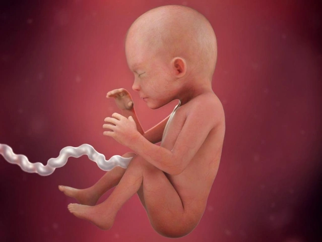 Khám Phá Hình Ảnh Thai Nhi 23 Tuần: Sự Phát Triển, Chỉ Số Siêu Âm & Lưu Ý Cho Mẹ Bầu Khám Phá Hình Ảnh Thai Nhi 23 Tuần: Sự Phát Triển, Chỉ Số Siêu Âm & Lưu Ý Cho Mẹ Bầu