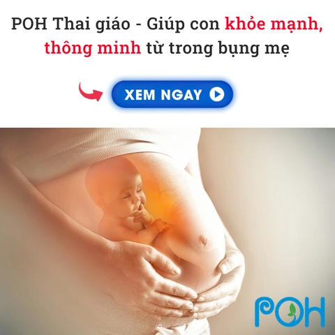 Khám Phá Hình Ảnh Thai Nhi 23 Tuần: Sự Phát Triển, Chỉ Số Siêu Âm & Lưu Ý Cho Mẹ Bầu Khám Phá Hình Ảnh Thai Nhi 23 Tuần: Sự Phát Triển, Chỉ Số Siêu Âm & Lưu Ý Cho Mẹ Bầu