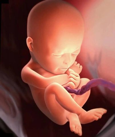 Khám Phá Hình Ảnh Thai Nhi 23 Tuần: Sự Phát Triển, Chỉ Số Siêu Âm & Lưu Ý Cho Mẹ Bầu Khám Phá Hình Ảnh Thai Nhi 23 Tuần: Sự Phát Triển, Chỉ Số Siêu Âm & Lưu Ý Cho Mẹ Bầu