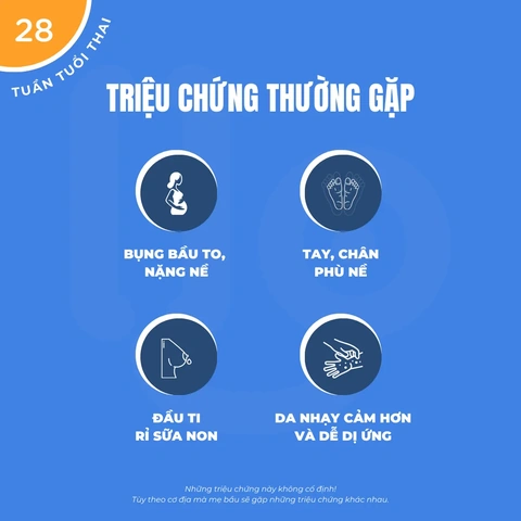 Hình Ảnh Thai Nhi 28 Tuần Tuổi: Tiểu Thuyết Phát Triển, Đo Lường & Những Thay Đổi Quan Trọng Cho Mẹ Bầu Hình Ảnh Thai Nhi 28 Tuần Tuổi: Tiểu Thuyết Phát Triển, Đo Lường & Những Thay Đổi Quan Trọng Cho Mẹ Bầu