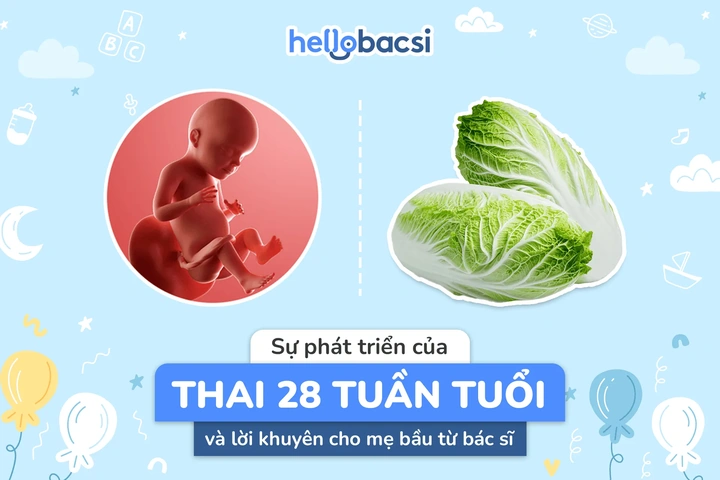 Hình Ảnh Thai Nhi 28 Tuần Tuổi: Tiểu Thuyết Phát Triển, Đo Lường & Những Thay Đổi Quan Trọng Cho Mẹ Bầu Hình Ảnh Thai Nhi 28 Tuần Tuổi: Tiểu Thuyết Phát Triển, Đo Lường & Những Thay Đổi Quan Trọng Cho Mẹ Bầu