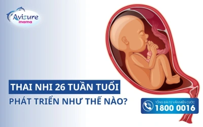 Hình Ảnh Thai Nhi 28 Tuần Tuổi: Tiểu Thuyết Phát Triển, Đo Lường & Những Thay Đổi Quan Trọng Cho Mẹ Bầu Hình Ảnh Thai Nhi 28 Tuần Tuổi: Tiểu Thuyết Phát Triển, Đo Lường & Những Thay Đổi Quan Trọng Cho Mẹ Bầu