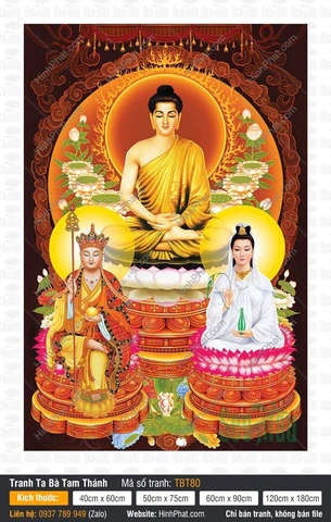 Hình Ảnh Và Sự Thật Về "thành Phố Tam Sa" – Bối Cảnh, Phản Ứng Và Ý Nghĩa Địa Chính Trị