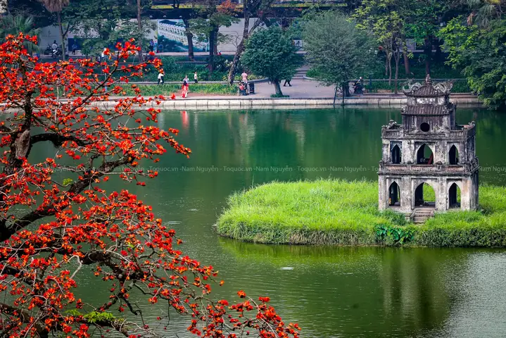 Hình Ảnh Tháp Rùa Hà Nội Đẹp Nhất: Bộ Sưu Tập, Lịch Sử Và Mẹo Chụp Ảnh