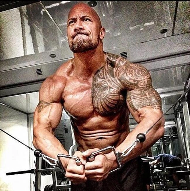 100+ Hình Ảnh The Rock 2026 Đầy Đủ Độ Phân Giải Cao, 100+ Bức Ảnh Siêu Đẹp? 100+ Hình Ảnh The Rock 2026 Đầy Đủ Độ Phân Giải Cao, 100+ Bức Ảnh Siêu Đẹp?