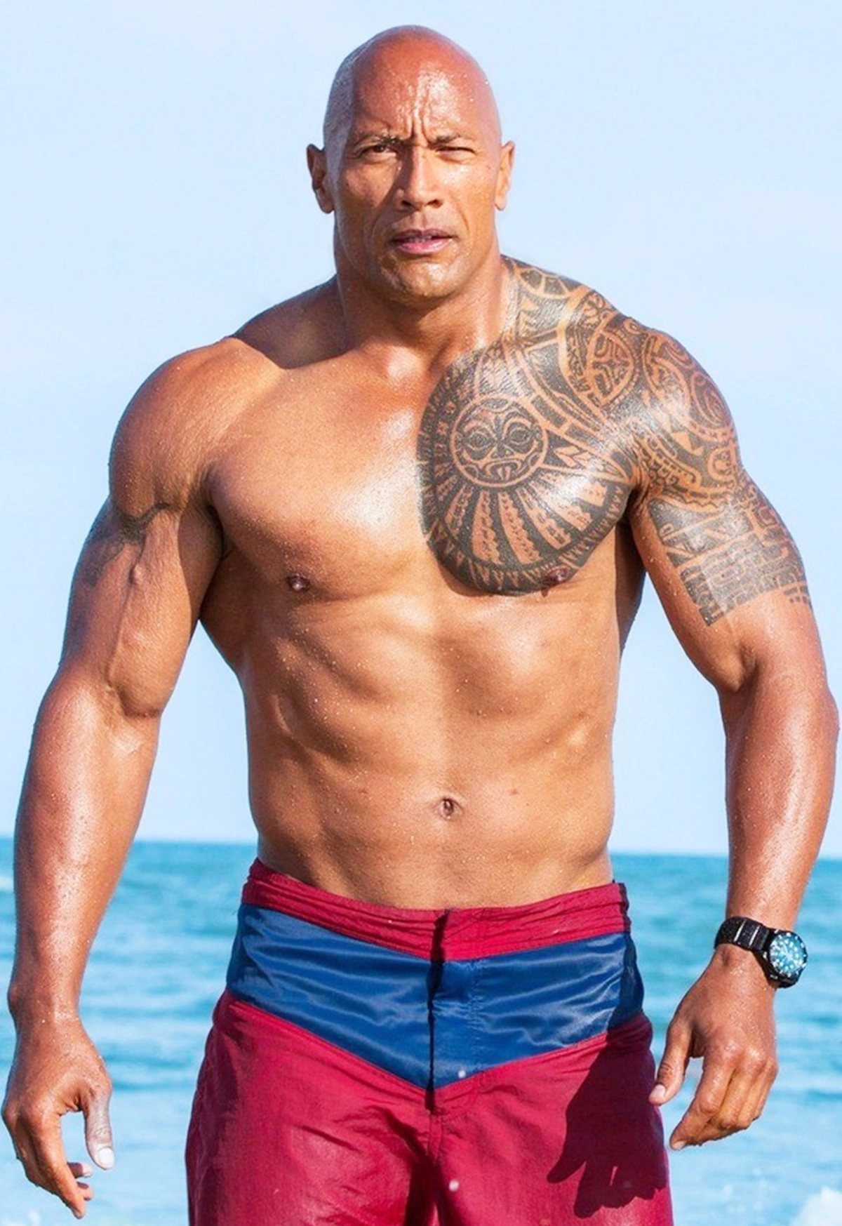 100+ Hình Ảnh The Rock 2026 Đầy Đủ Độ Phân Giải Cao, 100+ Bức Ảnh Siêu Đẹp? 100+ Hình Ảnh The Rock 2026 Đầy Đủ Độ Phân Giải Cao, 100+ Bức Ảnh Siêu Đẹp?