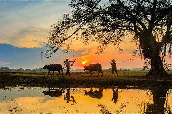Khám Phá Bộ Sưu Tập Hình Ảnh Thôn Quê Việt Nam Đẹp Nhất: Từ Cánh Đồng Lúa Đến Ký Ức Tuổi Thơ Khám Phá Bộ Sưu Tập Hình Ảnh Thôn Quê Việt Nam Đẹp Nhất: Từ Cánh Đồng Lúa Đến Ký Ức Tuổi Thơ