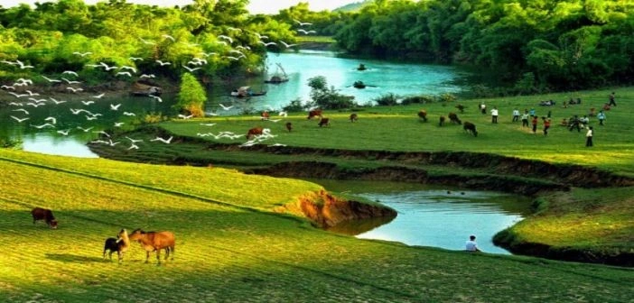 Khám Phá Bộ Sưu Tập Hình Ảnh Thôn Quê Việt Nam Đẹp Nhất: Từ Cánh Đồng Lúa Đến Ký Ức Tuổi Thơ Khám Phá Bộ Sưu Tập Hình Ảnh Thôn Quê Việt Nam Đẹp Nhất: Từ Cánh Đồng Lúa Đến Ký Ức Tuổi Thơ