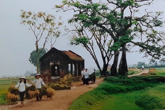 Khám Phá Bộ Sưu Tập Hình Ảnh Thôn Quê Việt Nam Đẹp Nhất: Từ Cánh Đồng Lúa Đến Ký Ức Tuổi Thơ Khám Phá Bộ Sưu Tập Hình Ảnh Thôn Quê Việt Nam Đẹp Nhất: Từ Cánh Đồng Lúa Đến Ký Ức Tuổi Thơ