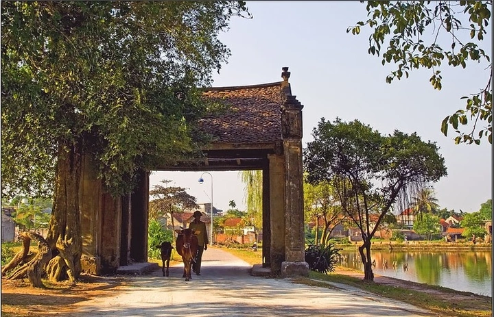 Khám Phá Bộ Sưu Tập Hình Ảnh Thôn Quê Việt Nam Đẹp Nhất: Từ Cánh Đồng Lúa Đến Ký Ức Tuổi Thơ Khám Phá Bộ Sưu Tập Hình Ảnh Thôn Quê Việt Nam Đẹp Nhất: Từ Cánh Đồng Lúa Đến Ký Ức Tuổi Thơ