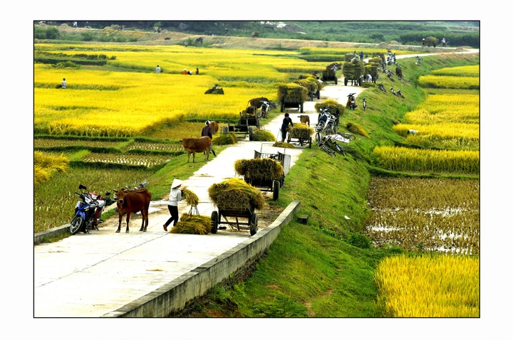 Khám Phá Bộ Sưu Tập Hình Ảnh Thôn Quê Việt Nam Đẹp Nhất: Từ Cánh Đồng Lúa Đến Ký Ức Tuổi Thơ Khám Phá Bộ Sưu Tập Hình Ảnh Thôn Quê Việt Nam Đẹp Nhất: Từ Cánh Đồng Lúa Đến Ký Ức Tuổi Thơ