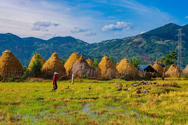 Khám Phá Bộ Sưu Tập Hình Ảnh Thôn Quê Việt Nam Đẹp Nhất: Từ Cánh Đồng Lúa Đến Ký Ức Tuổi Thơ Khám Phá Bộ Sưu Tập Hình Ảnh Thôn Quê Việt Nam Đẹp Nhất: Từ Cánh Đồng Lúa Đến Ký Ức Tuổi Thơ