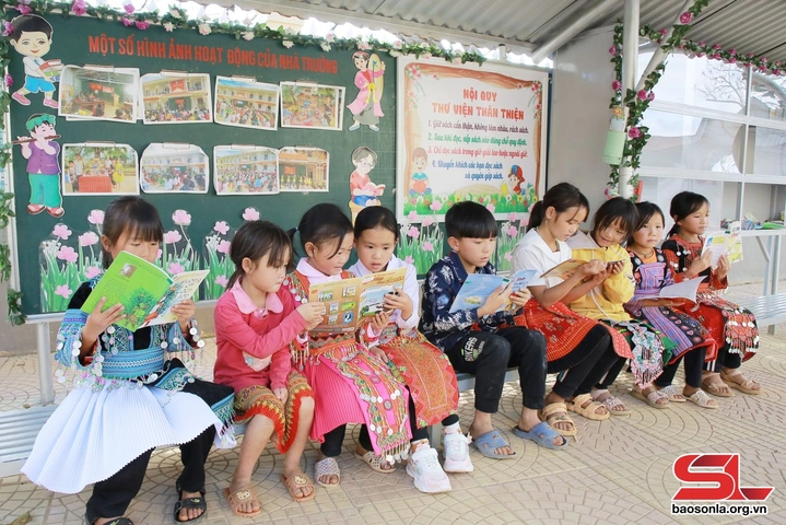 50+ Hình Ảnh Thư Viện Xanh Đẹp, Sáng Tạo Nhất – Ý Tưởng Trang Trí Không Gian Đọc Sách Lý Tưởng