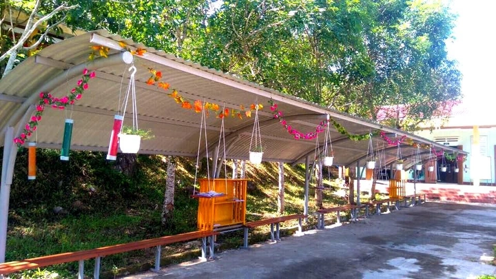 50+ Hình Ảnh Thư Viện Xanh Đẹp, Sáng Tạo Nhất – Ý Tưởng Trang Trí Không Gian Đọc Sách Lý Tưởng