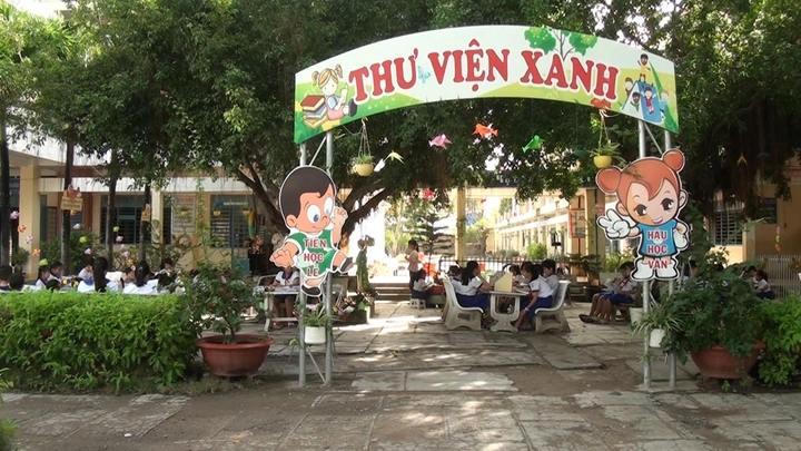 50+ Hình Ảnh Thư Viện Xanh Đẹp, Sáng Tạo Nhất – Ý Tưởng Trang Trí Không Gian Đọc Sách Lý Tưởng