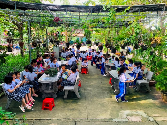 50+ Hình Ảnh Thư Viện Xanh Đẹp, Sáng Tạo Nhất – Ý Tưởng Trang Trí Không Gian Đọc Sách Lý Tưởng